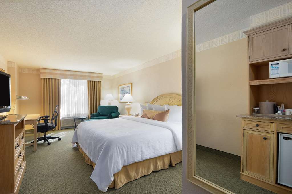 Hilton Garden Inn Atlanta North/Johns Creek Room photo